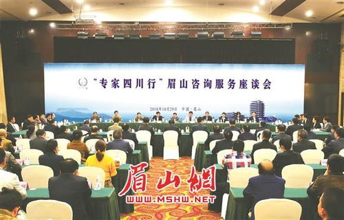 專家四川行 眉山咨詢服務(wù)座談會成功舉行，共繪發(fā)展新藍(lán)圖